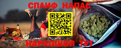 гашик Краснодар