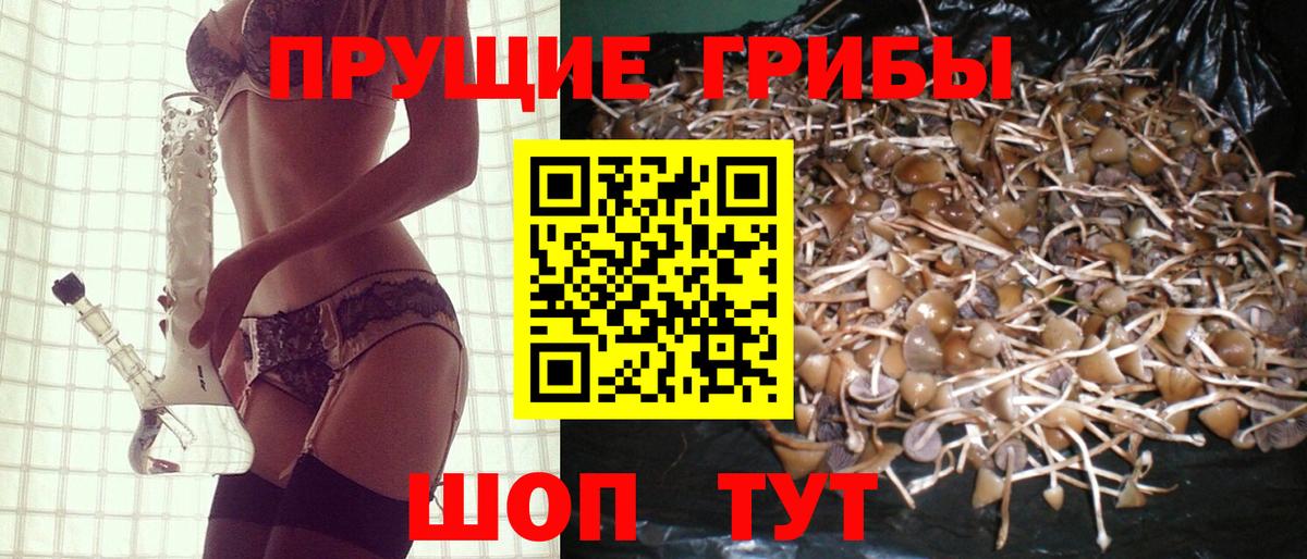 Киселёвск  Галлюциногенные грибы мицелий  Вход с VPN  Псилоцибиновые грибы мухоморы 