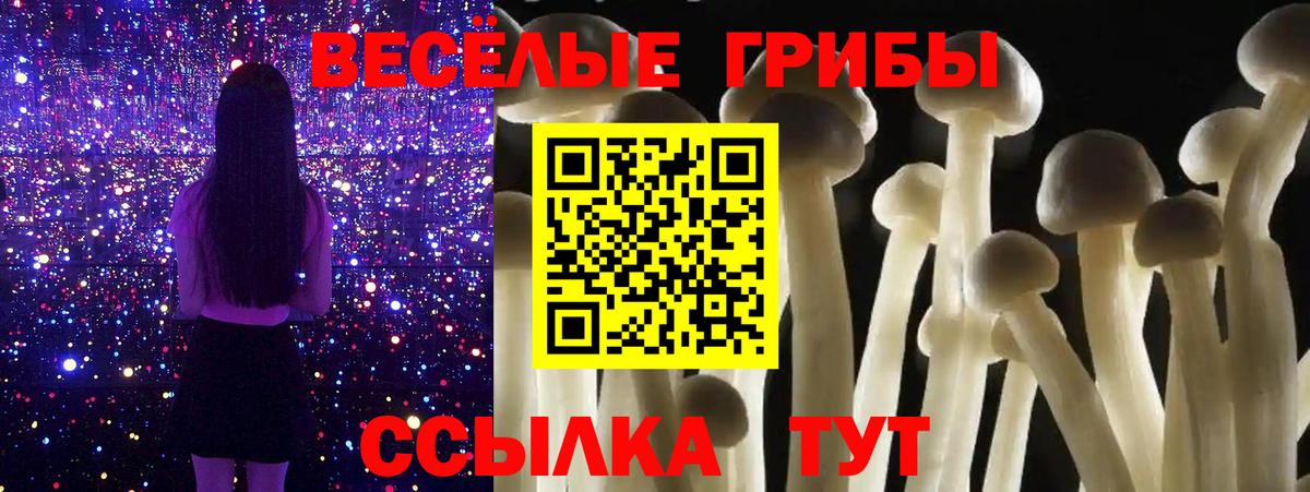 Псилоцибиновые грибы мухоморы Киселёвск